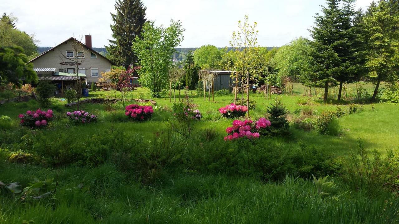 Apartament Moosberg Haus Mizzi Holzminden Zewnętrze zdjęcie